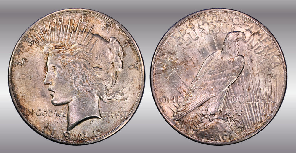 My-Raw-Peace-Dollar-Collection.-.-.-.-Warning!